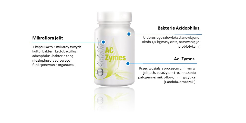 Ac- Zymes